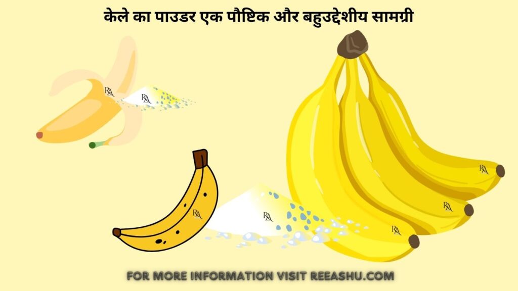 Robust Health : बनाएं अपने घर में Banana Powder और पाएं भरपूर लाभ! जानें इस आसान तरीके को