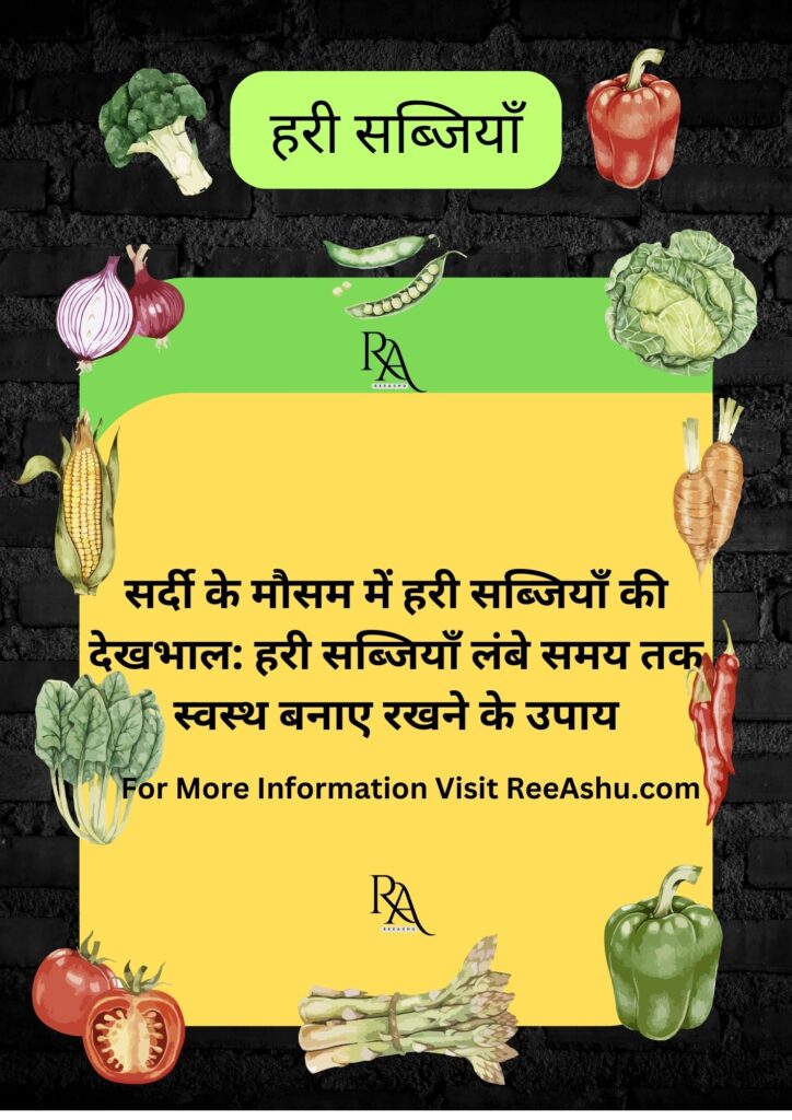सर्दी के मौसम में Green Veggies को लम्बे समय तक सुरक्षित रखने के 7 टिप्स : Which Will Make Veggies full of freshness सर्दी के मौसम में Green Veggies को लम्बे समय तक सुरक्षित रखने के 7 टिप्स : Which Will Make Veggies full of freshness