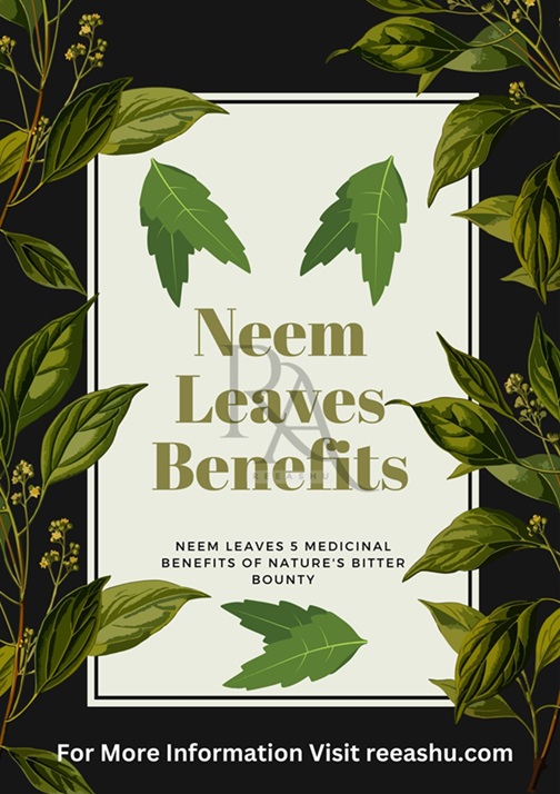 Discover Neem Leaves 5 Medicinal Benefits: Unveiling Nature’s Bitter Treasures.