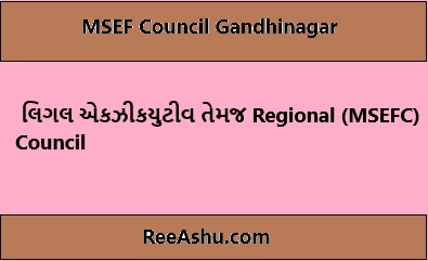 MSEF Council Recruitment 2024 For Various Posts MSEF Council Recruitment 2024 For Various Posts